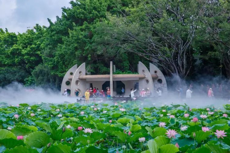 Shenzhen Honghu Park tour Shenzhen Honghu Park tour